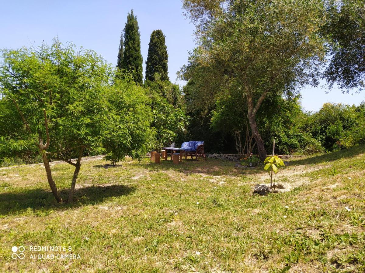 Corfu Villa Galini Potamós Extérieur photo