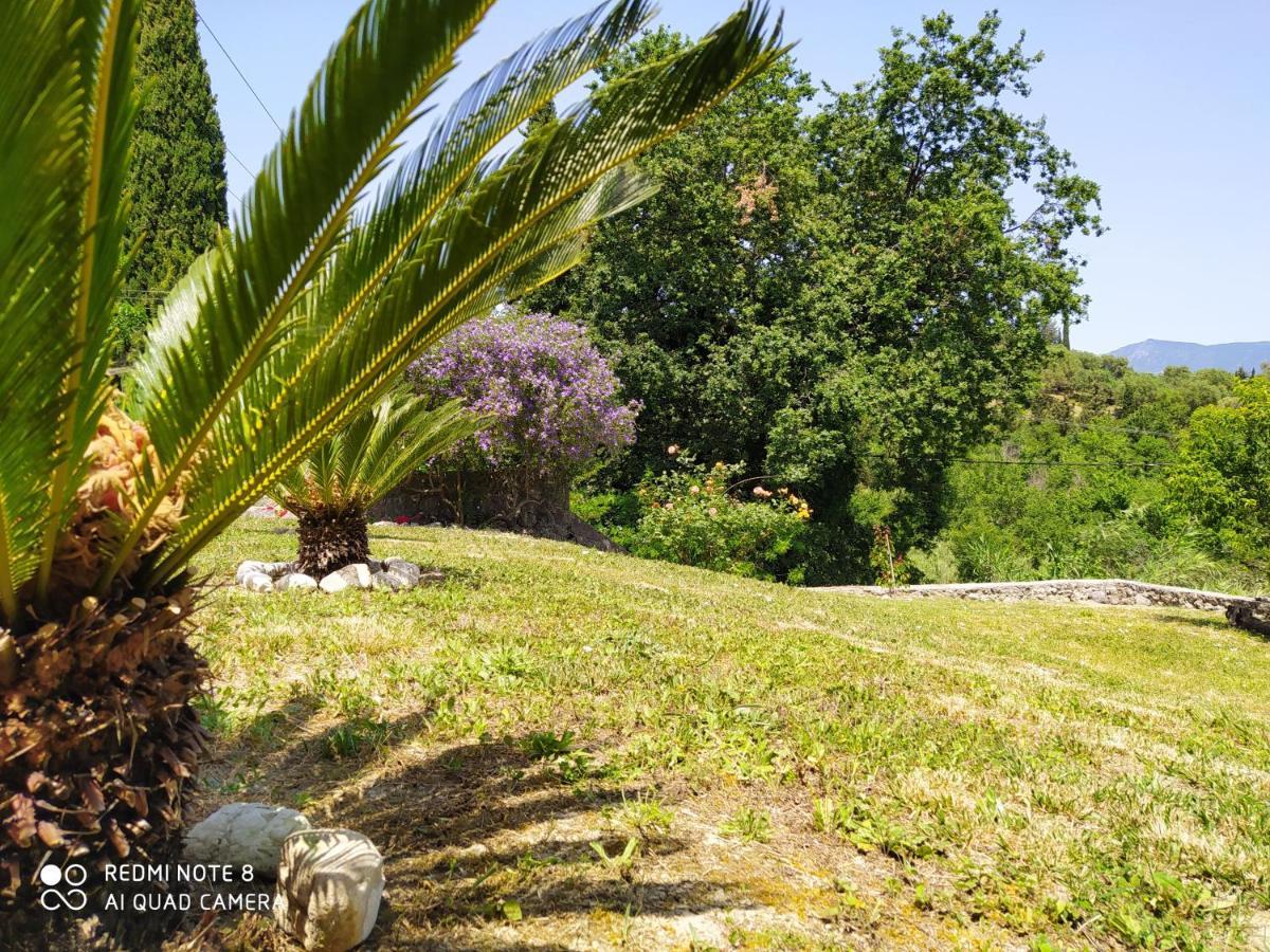 Corfu Villa Galini Potamós Extérieur photo
