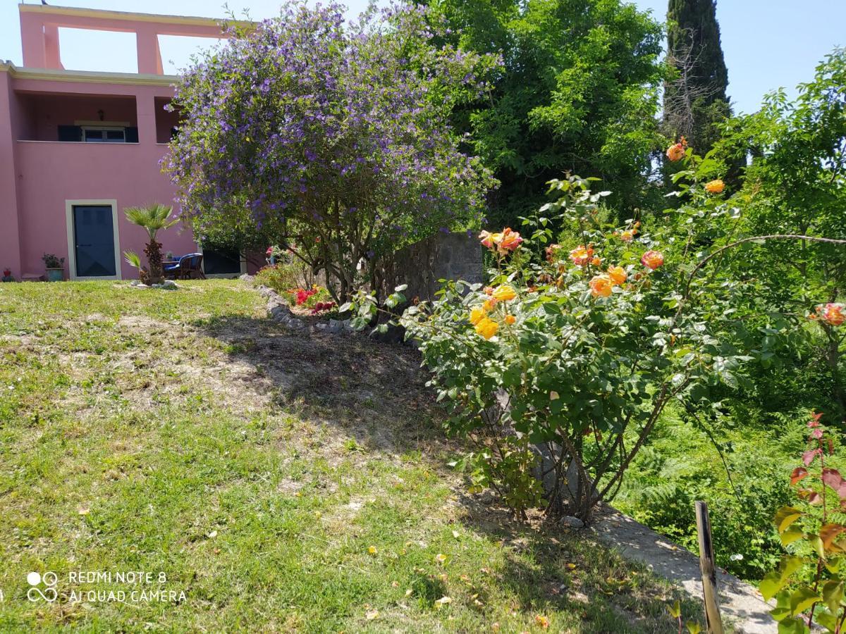 Corfu Villa Galini Potamós Extérieur photo